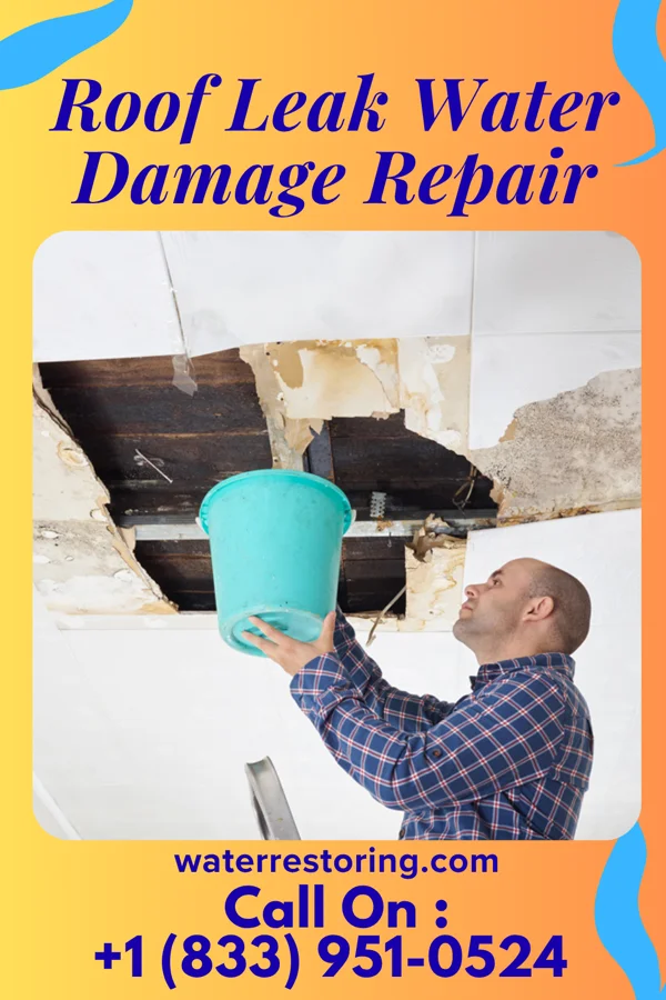 Roof Leak Water Damage Repair in Medon, TN